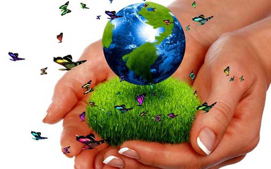 remedios-olvidados-planeta